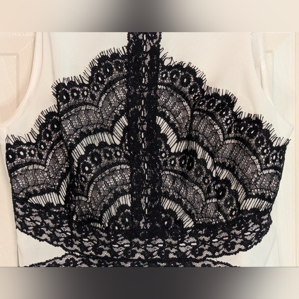 Ark & Co. Elegant Black and White Lace Dress - Picture 5 of 10